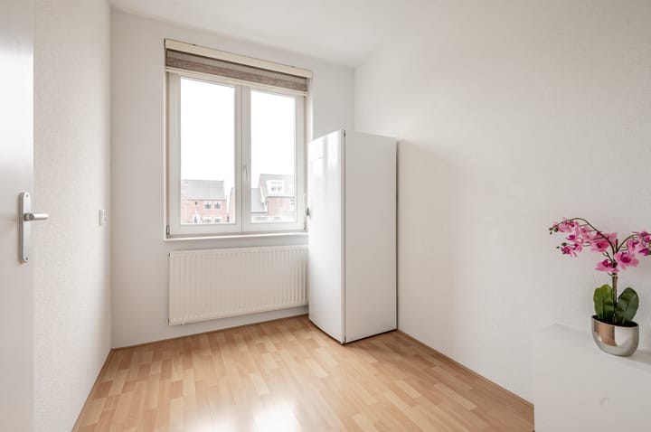 Foto 21 van Westerschelde 4