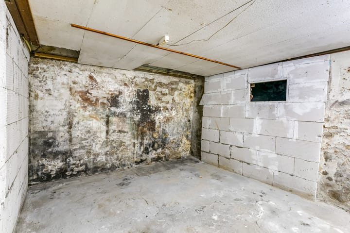 Foto 28 van Driestweg 44