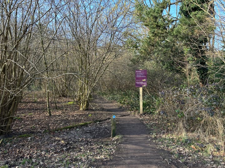 Foto 35 van Driestweg 44