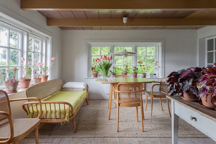 Foto 13 van Zomerdijk 4