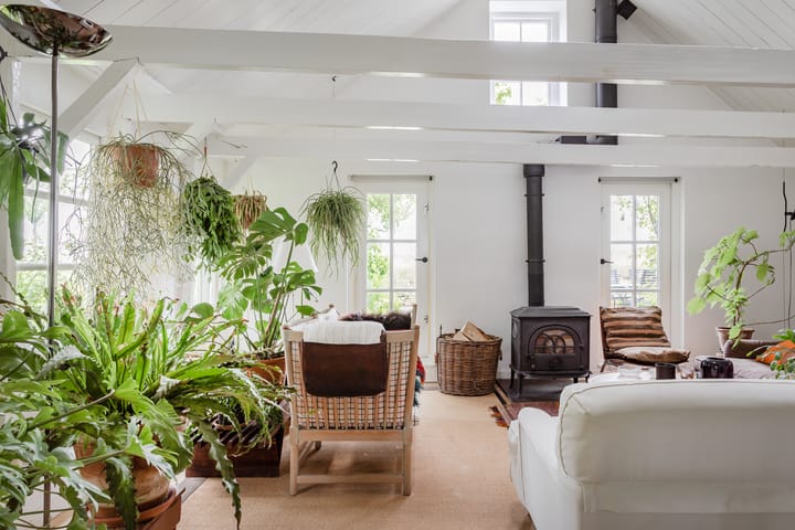 Foto 14 van Zomerdijk 4