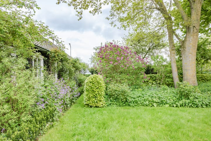 Foto 22 van Zomerdijk 4