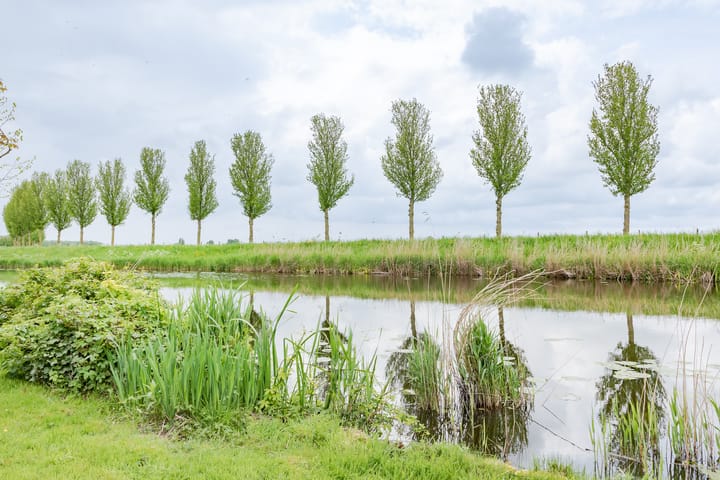 Foto 24 van Zomerdijk 4