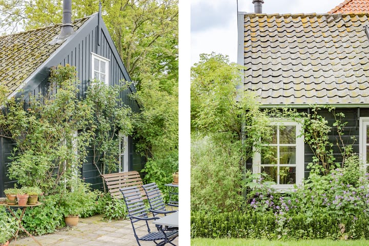 Foto 28 van Zomerdijk 4