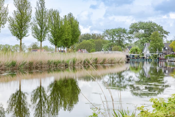 Foto 31 van Zomerdijk 4