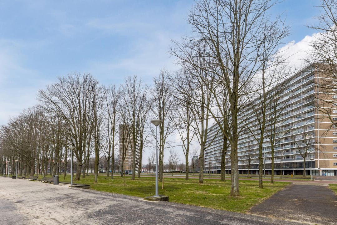 Foto 28 van Burgemeester Hogguerstraat 853