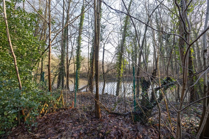 Foto 36 van Poaschebarg 29