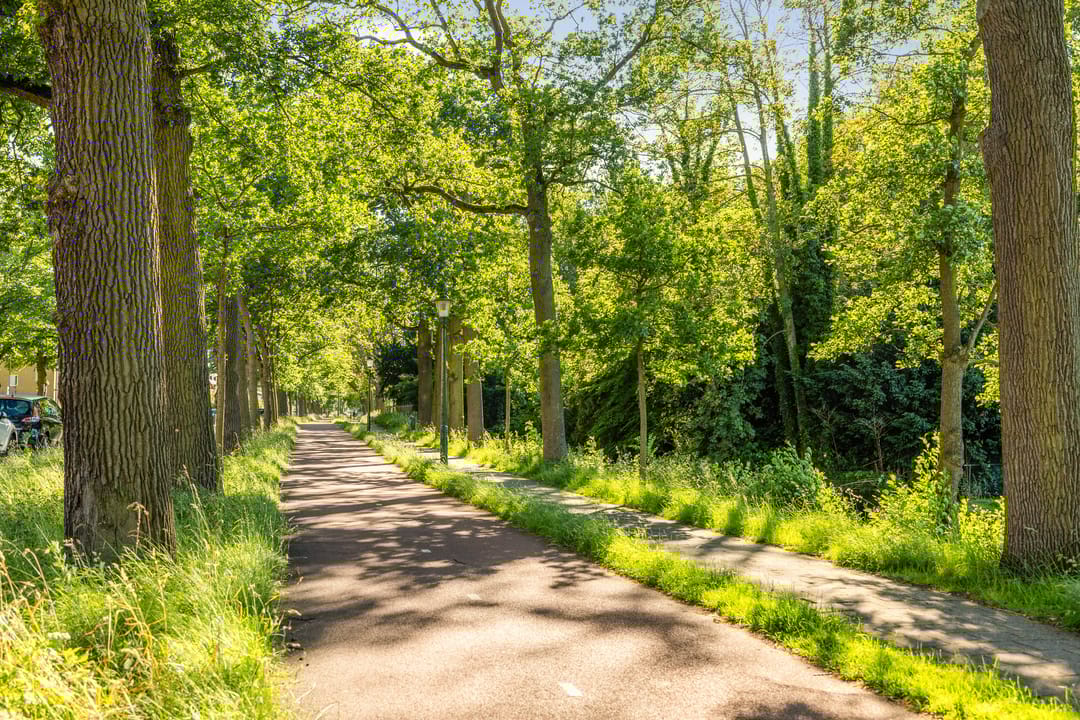 Foto 2 van Van Trigtstraat 28