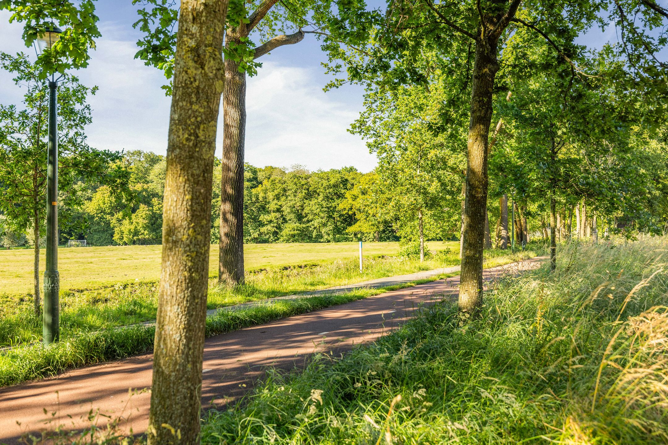 Foto 21 van Van Trigtstraat 28