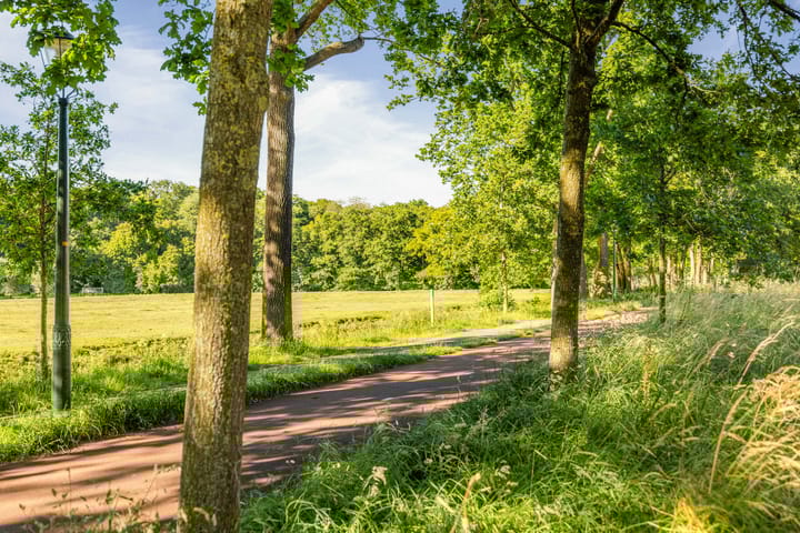 Foto 21 van Van Trigtstraat 28