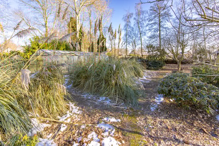 Foto 32 van Noorderdiep 515