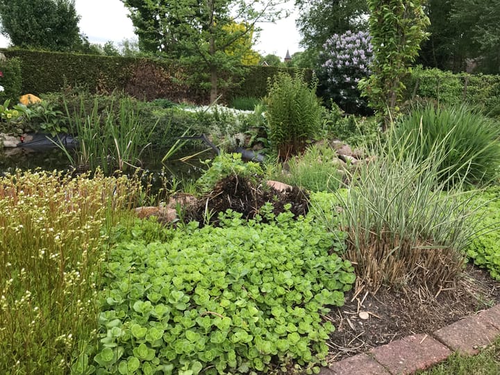 Foto 37 van Noorderdiep 515