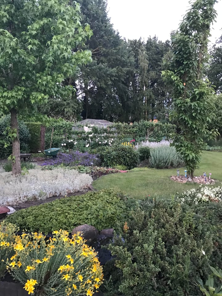 Foto 40 van Noorderdiep 515