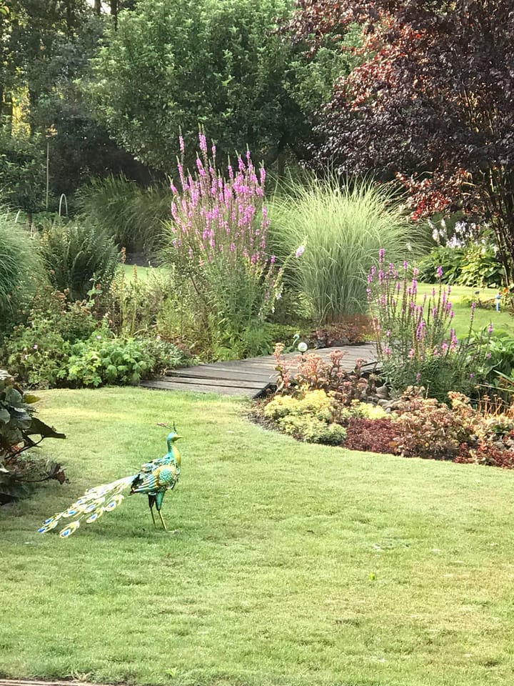 Foto 41 van Noorderdiep 515