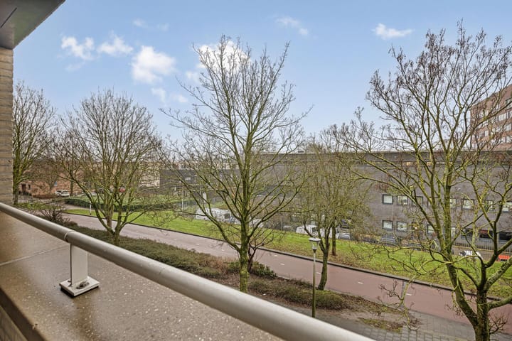 Foto 25 van Boksdoornerf 138