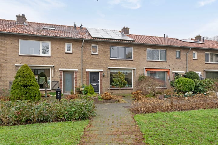undefined main image