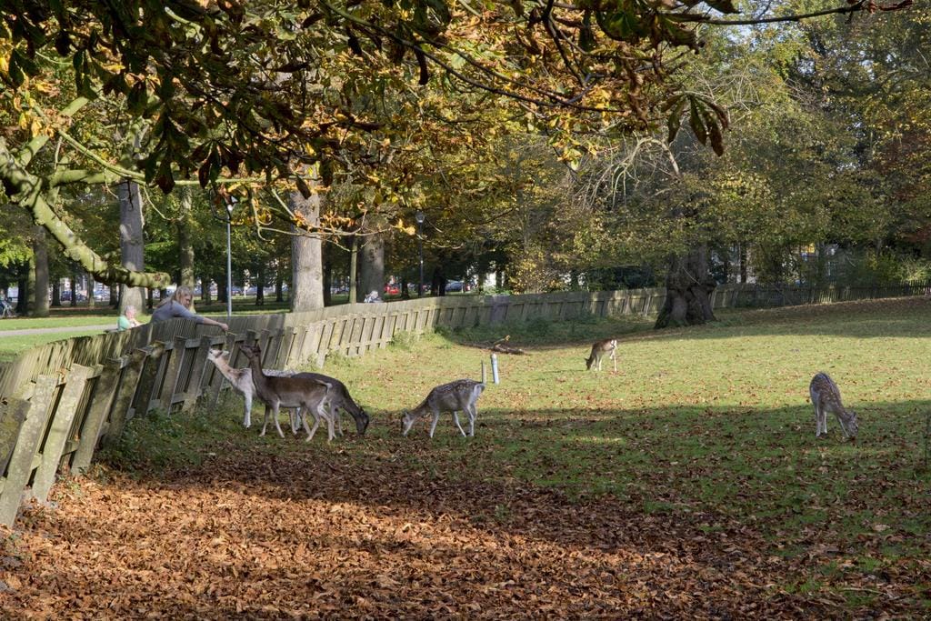 Foto 31 van Prinsessekade 24