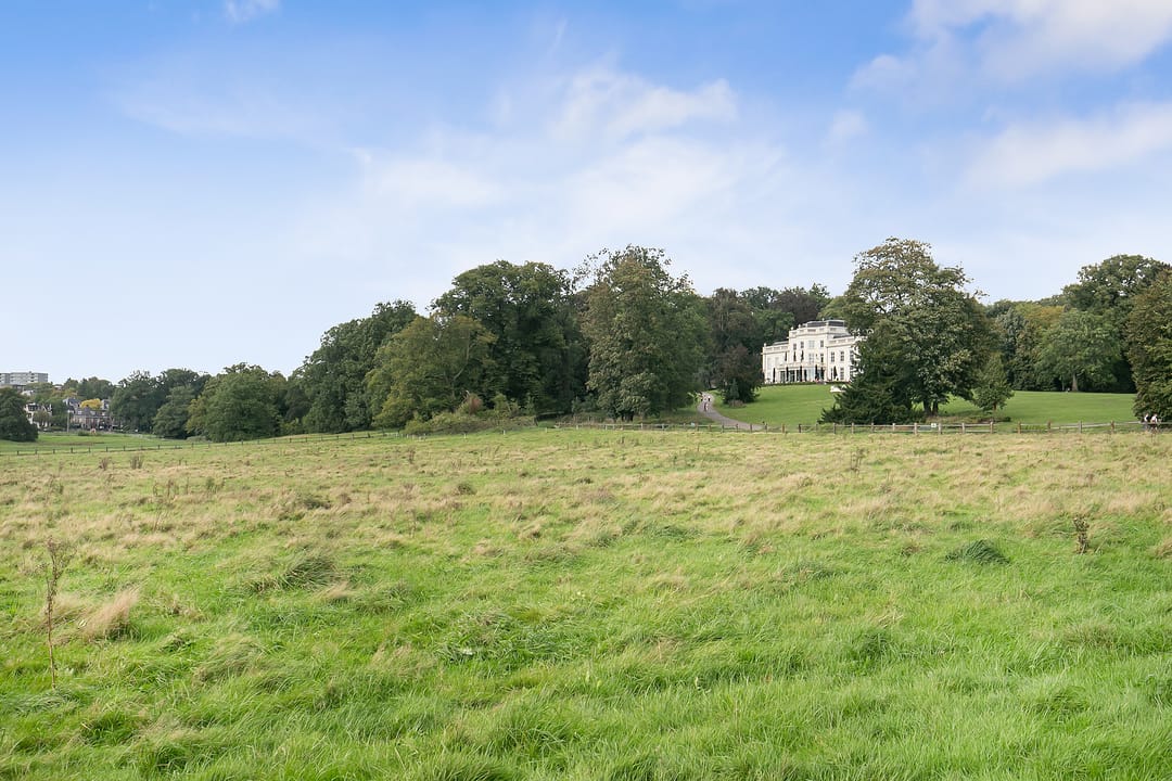 Foto 22 van Marten van Rossemstraat 21