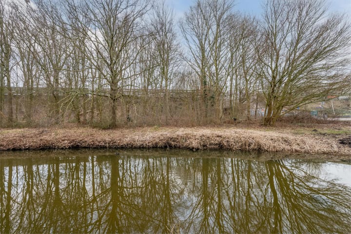 Foto 43 van Diopter 50