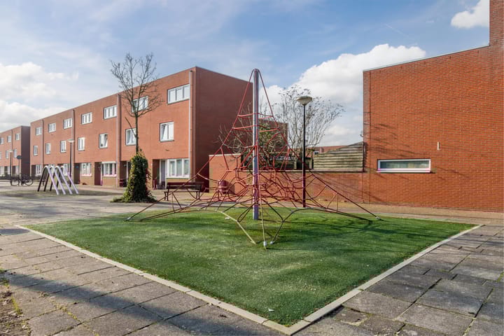 Foto 46 van Diopter 50