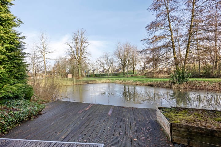 Foto 42 van Elzenslag 12