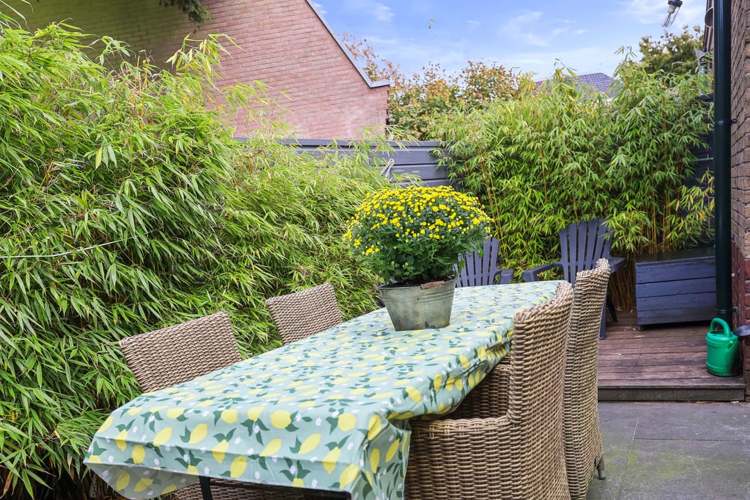 Foto 37 van Van Huutstraat 8