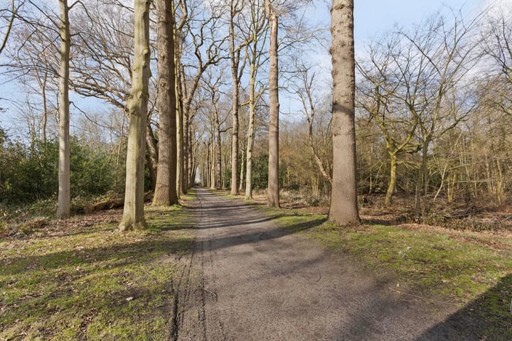 Photo 49 of Beatrixlaan 10