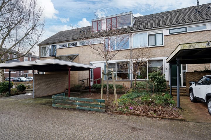 undefined main image