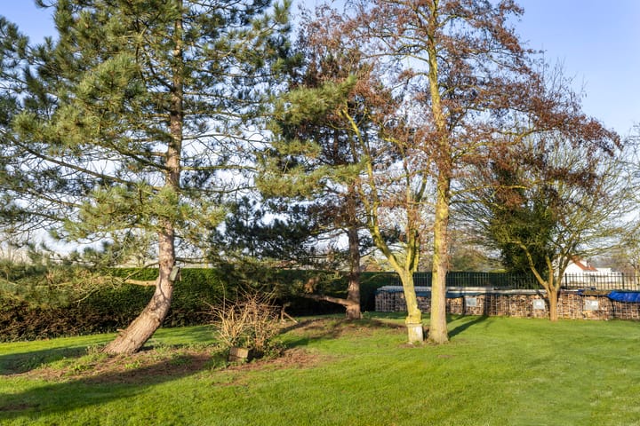 Foto 46 van Heindijk 9