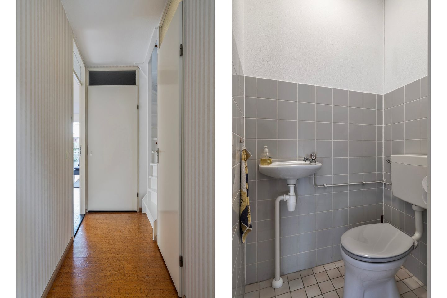 Foto 5 van Goudplevier 40