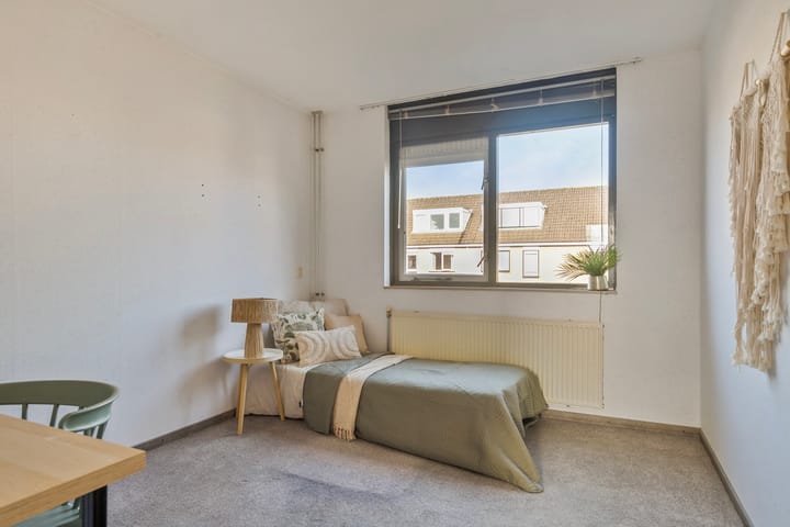 Foto 16 van Goudplevier 40