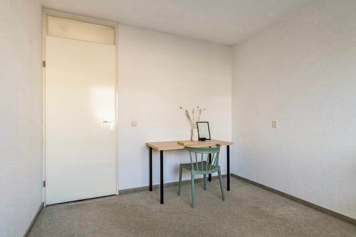 Foto 17 van Goudplevier 40