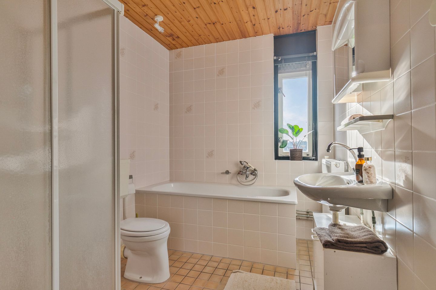 Foto 20 van Goudplevier 40