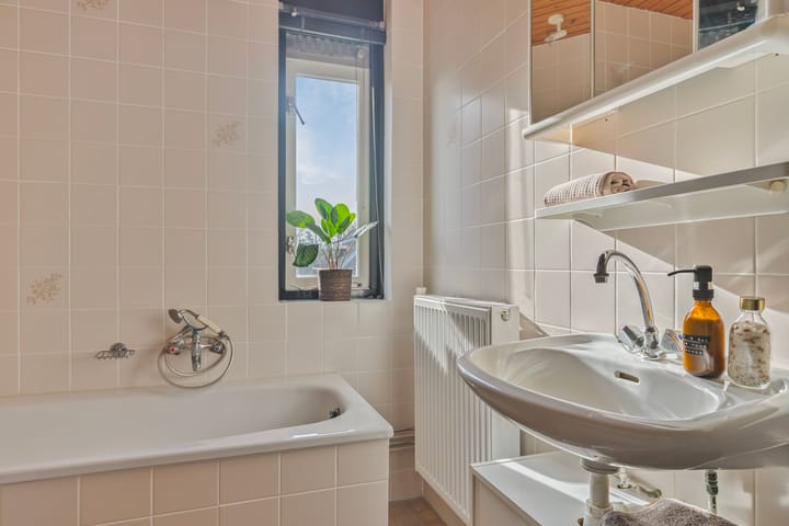 Foto 21 van Goudplevier 40