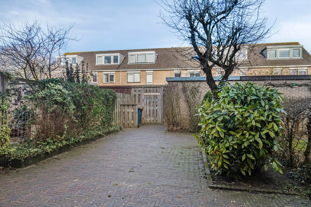 Foto 28 van Goudplevier 40