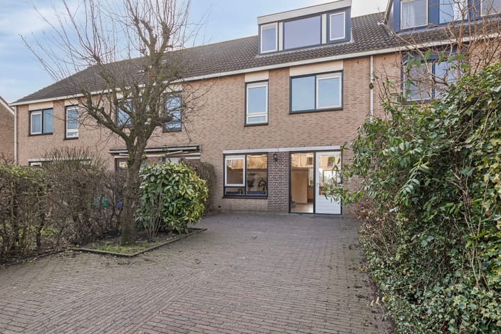 Foto 29 van Goudplevier 40