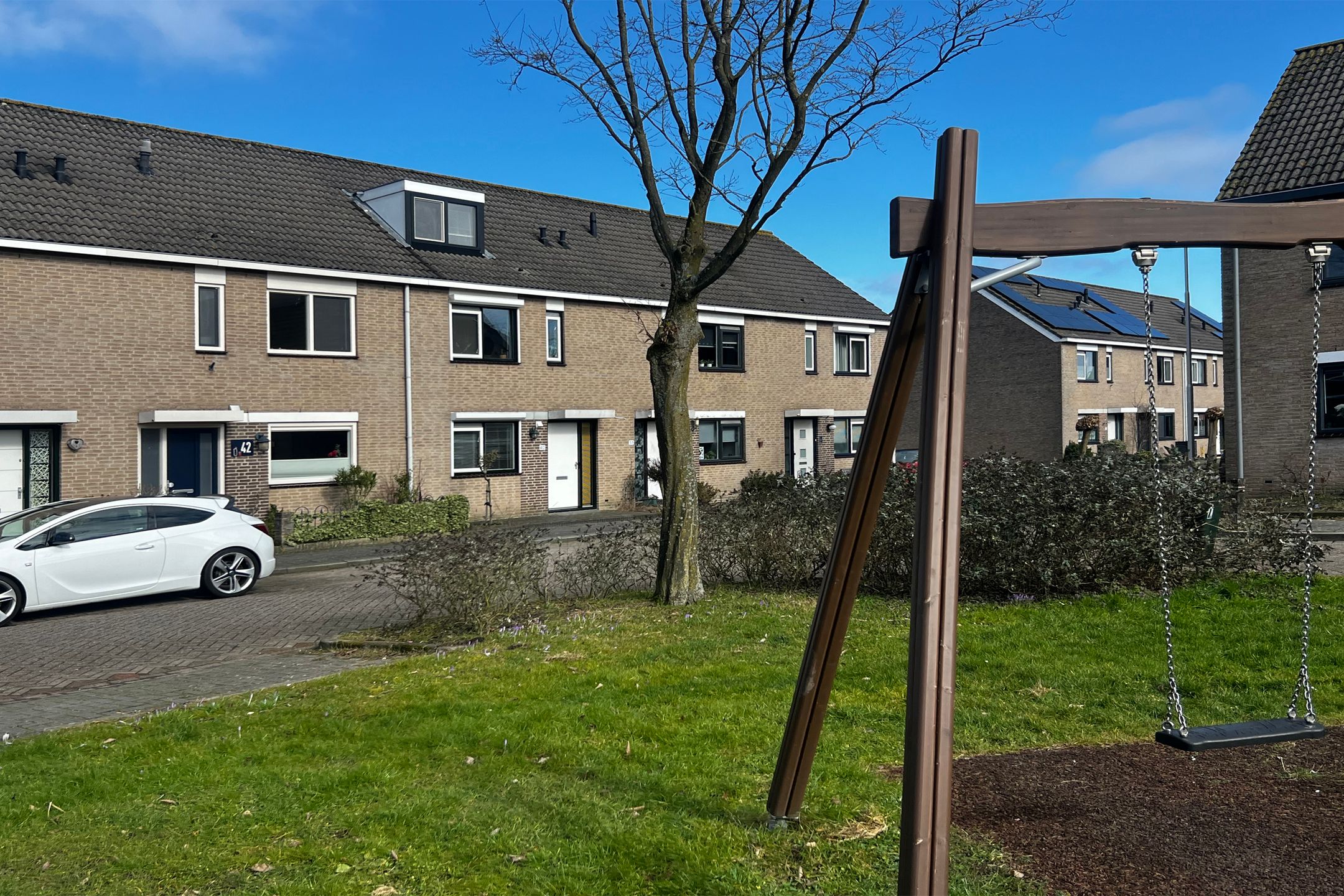 Foto 30 van Goudplevier 40