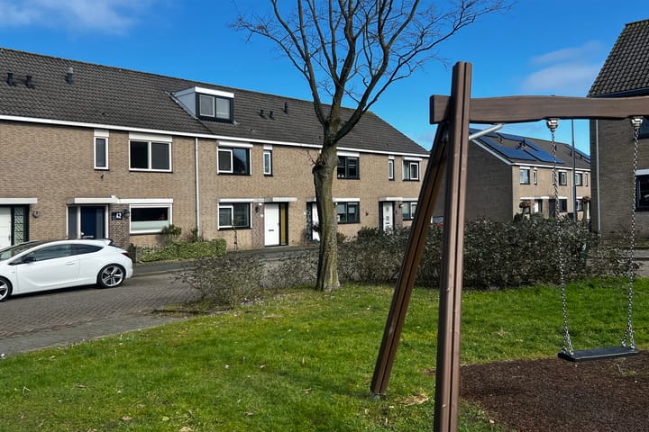 Foto 30 van Goudplevier 40