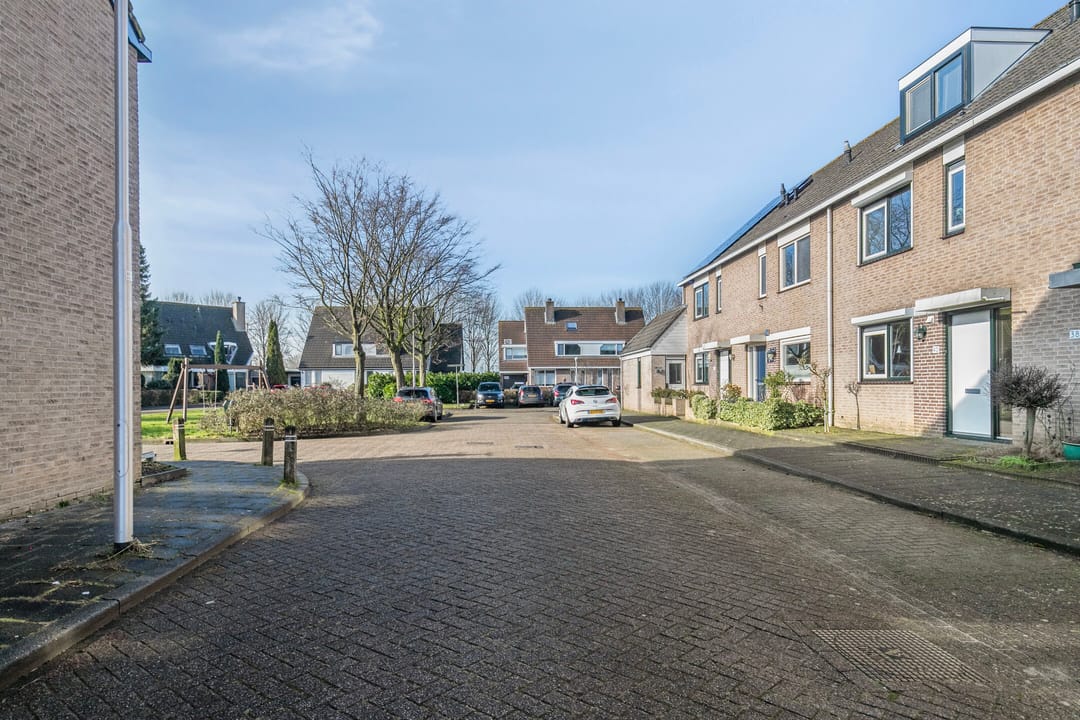 Foto 31 van Goudplevier 40