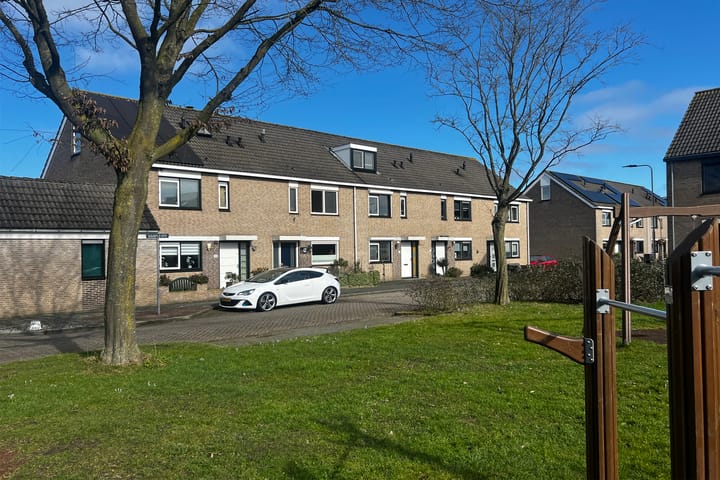 Foto 32 van Goudplevier 40