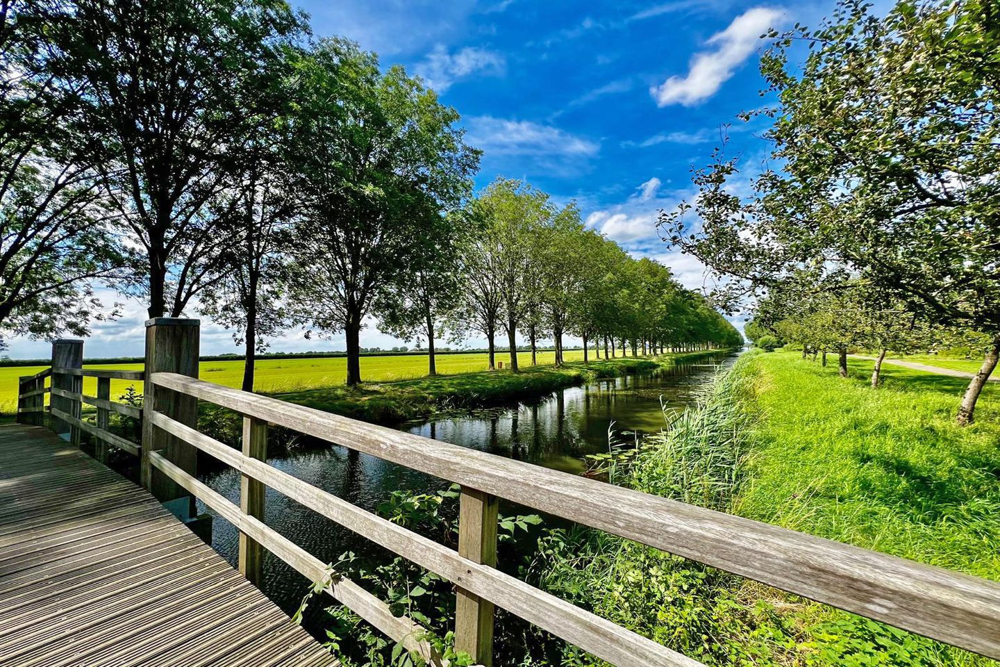 Foto 35 van Goudplevier 40