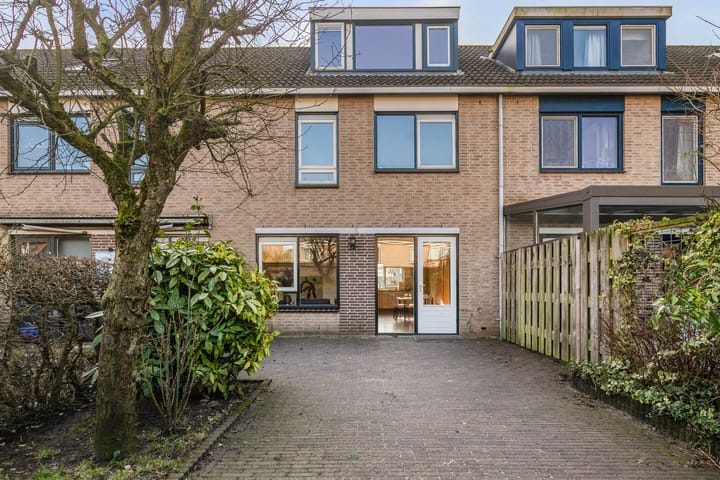 Foto 4 van Goudplevier 40