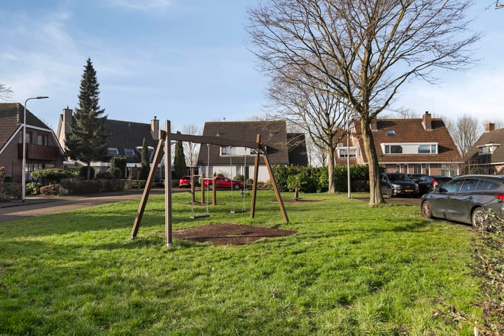 Foto 34 van Goudplevier 40