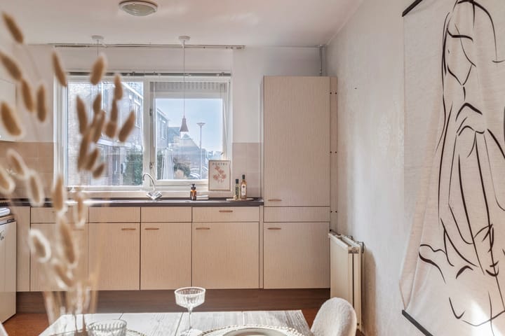 Foto 9 van Goudplevier 40