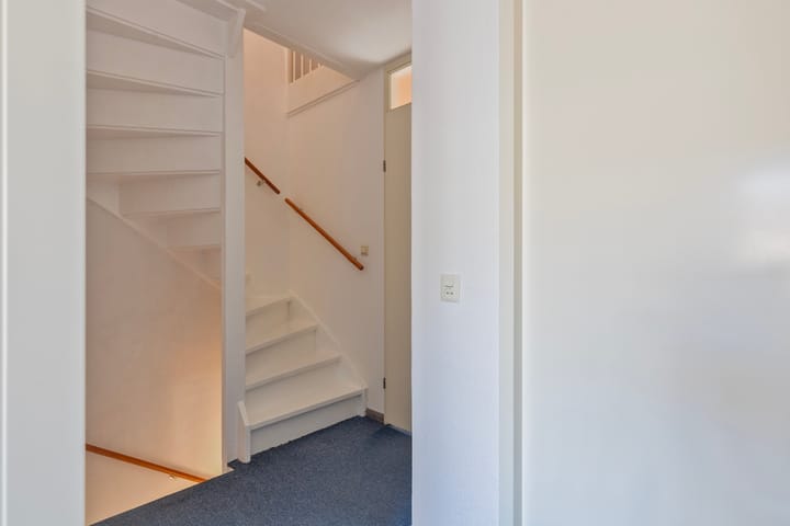 Foto 13 van Goudplevier 40