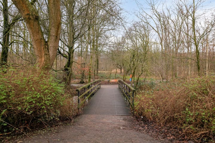 Foto 29 van Laan van Nieuw-Oost-Indië 72-B