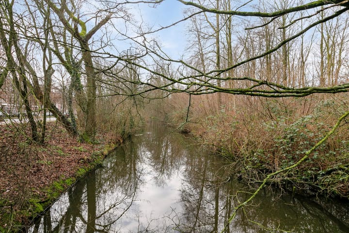 Foto 30 van Laan van Nieuw-Oost-Indië 72-B