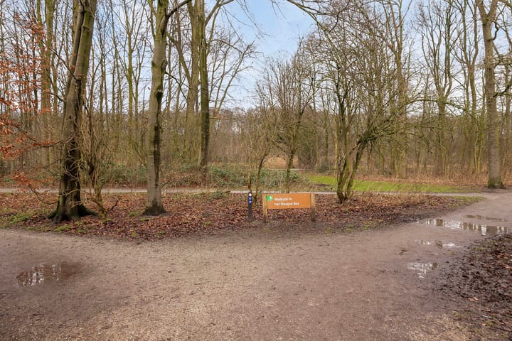 Foto 31 van Laan van Nieuw-Oost-Indië 72-B