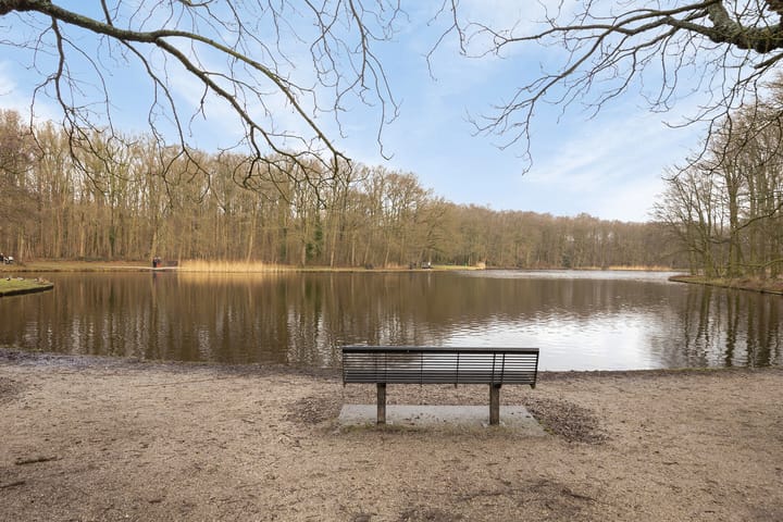 Foto 32 van Laan van Nieuw-Oost-Indië 72-B