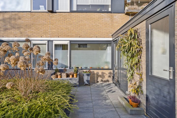 Foto 2 van Vlasland 41